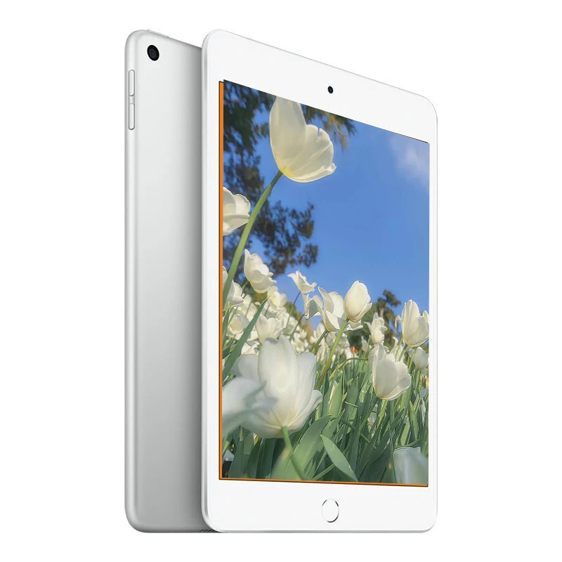 9新 Apple/苹果 iPad mini 7.9英寸小屏娱乐游戏追剧平板