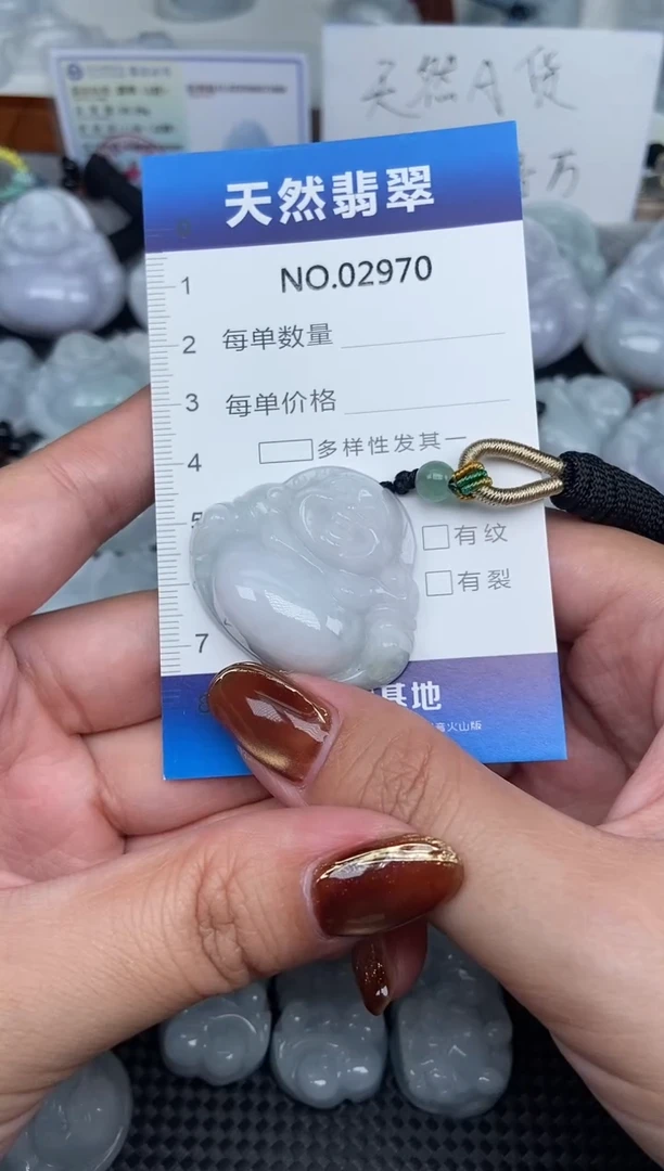颈饰未镶嵌翡翠纯天然A货翡翠2970