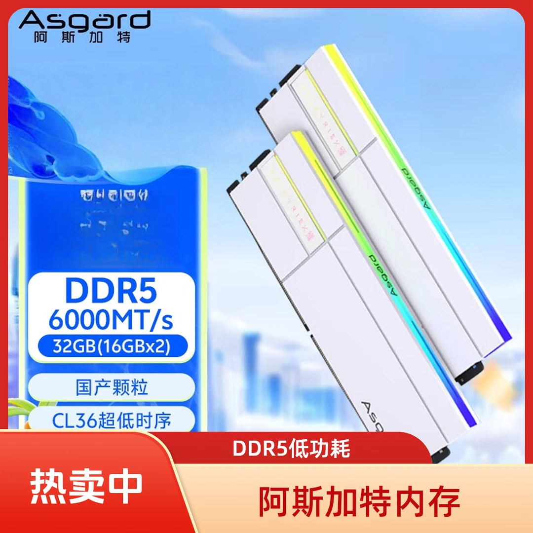 阿斯加特32GB(16GBx2) DDR5 6000台式机内存条女武神国产颗粒CL36