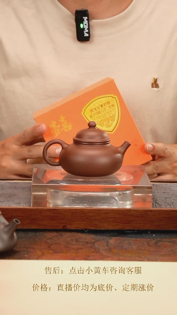 茶壶紫砂 黄龙源 紫泥 容天壶 140cc 钱币孔