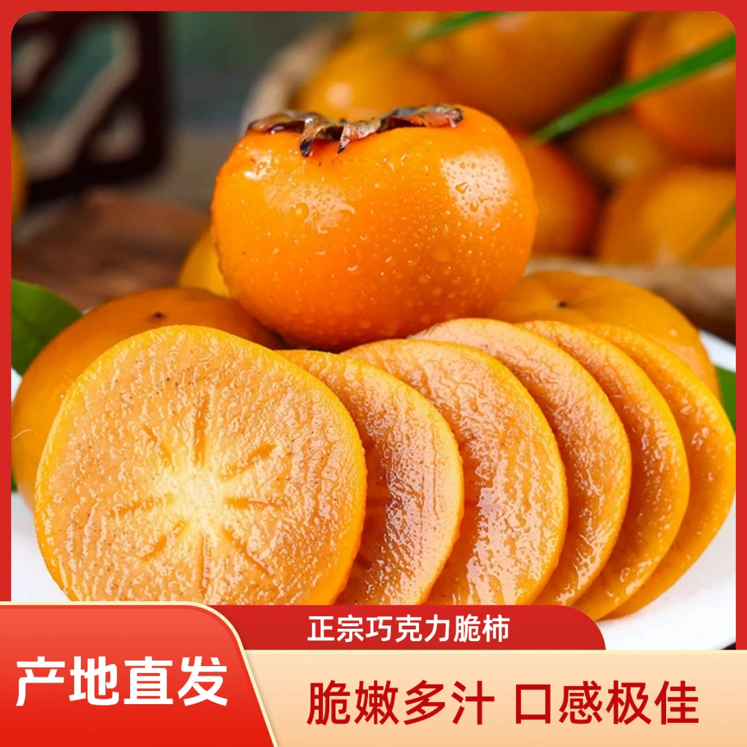 【坏果包赔】现采现发阳丰巧克力脆柿清甜可口不涩口新鲜当季水果