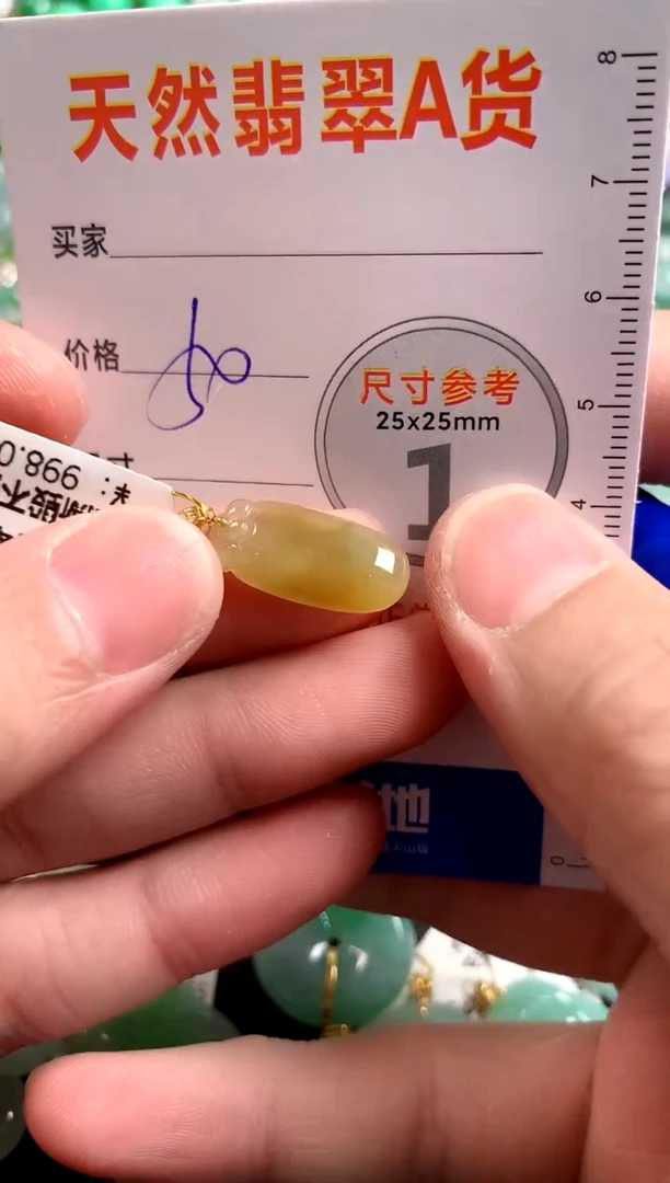 【闪购商品】翡翠颈饰18K金镶嵌13009207