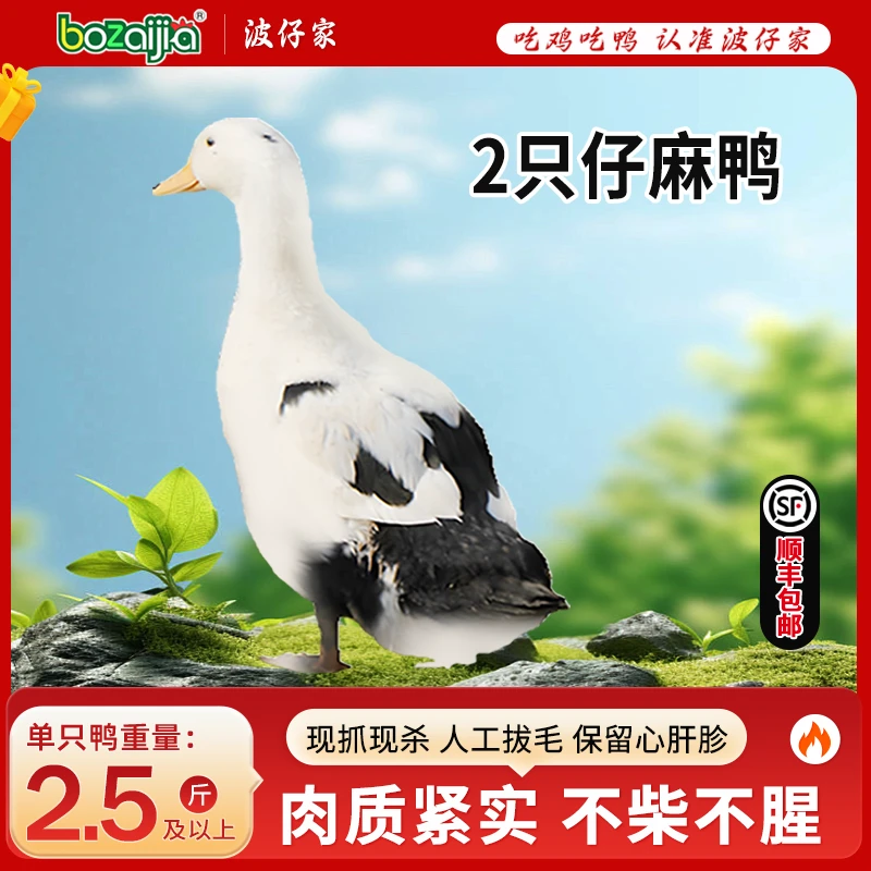 【bozaijia】波仔家洪湖仔麻鸭单只净重1.25kg*（2只）