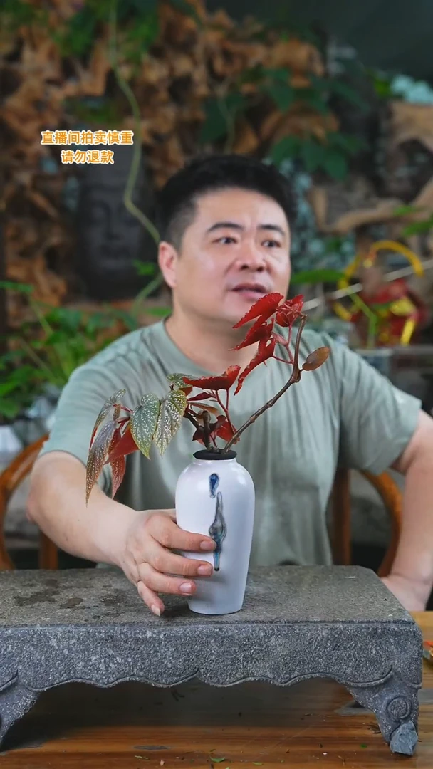 完全开放海棠瓷器瓶