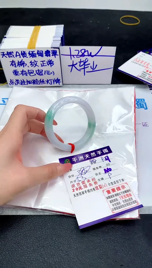 未镶嵌手镯翡翠1