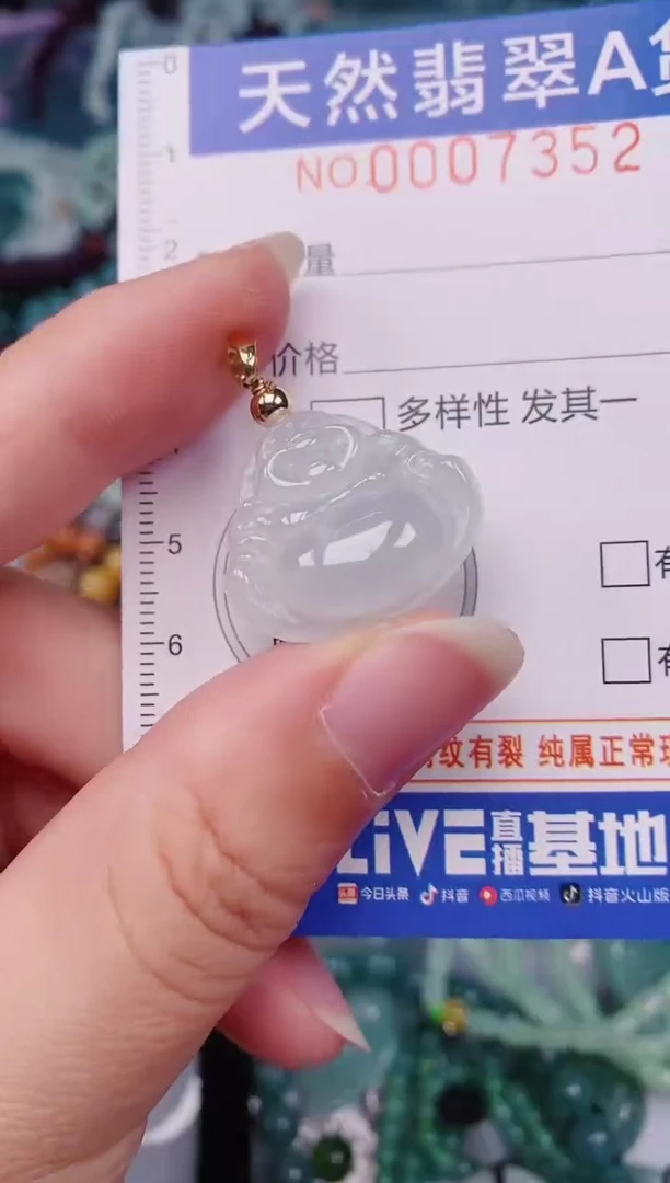 颈饰未镶嵌翡翠00007352