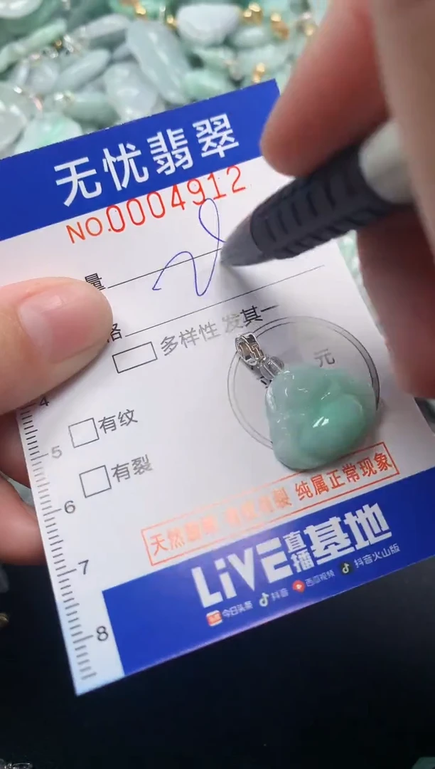 颈饰未镶嵌翡翠4912