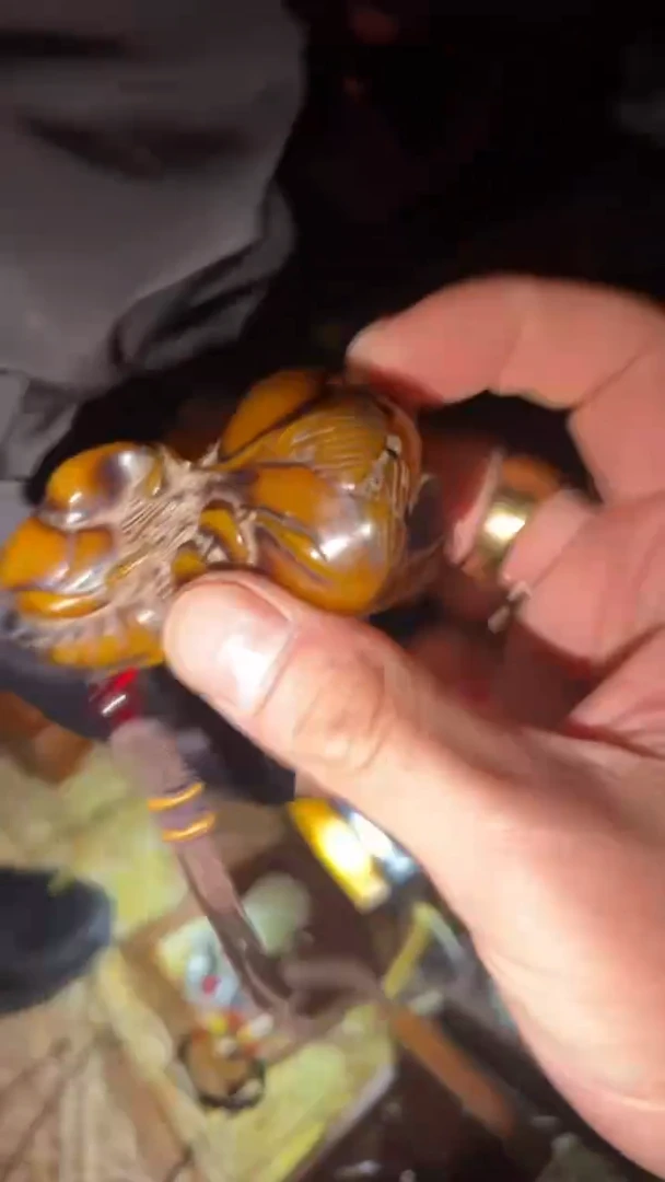 【闪购商品】蜜蜡颈饰未镶嵌闪购商品高端专用链接