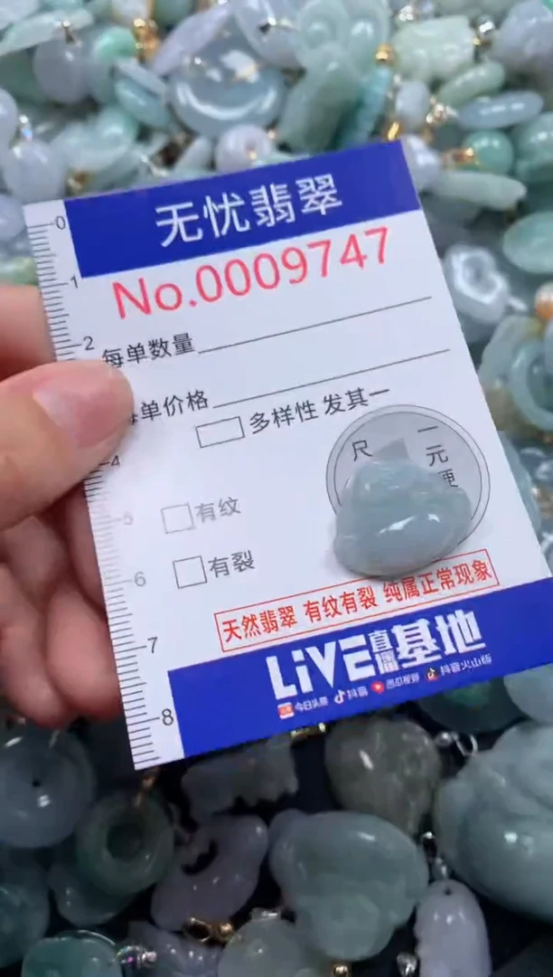 颈饰未镶嵌翡翠9747