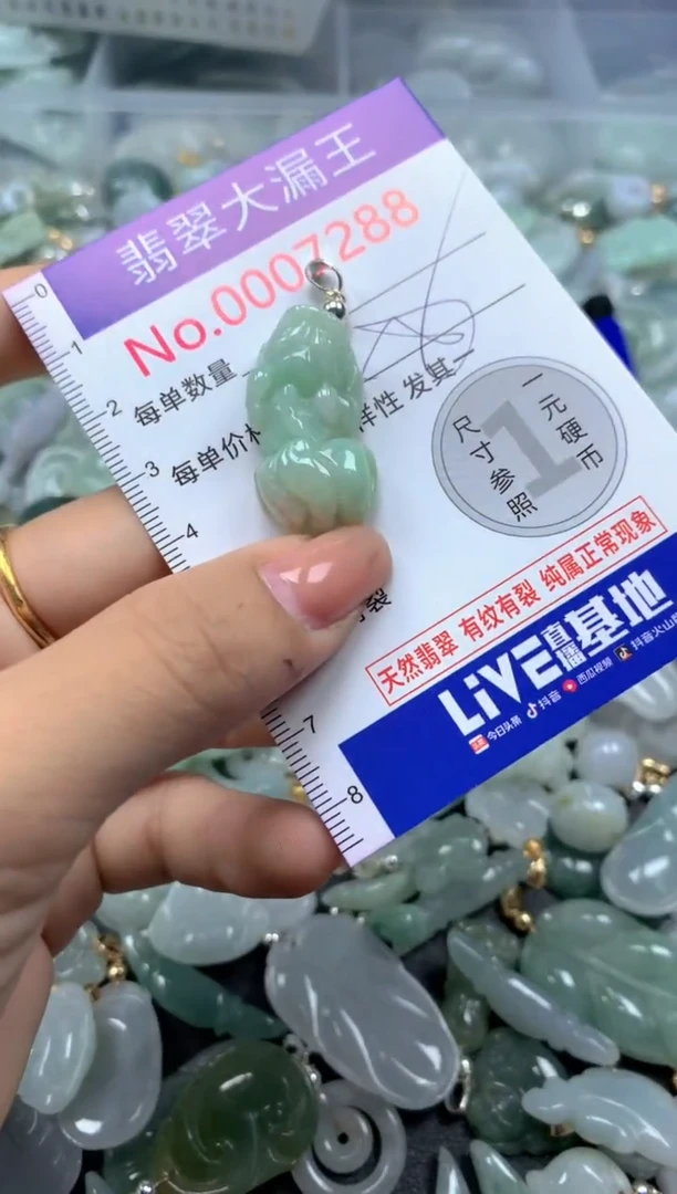 颈饰未镶嵌翡翠7288