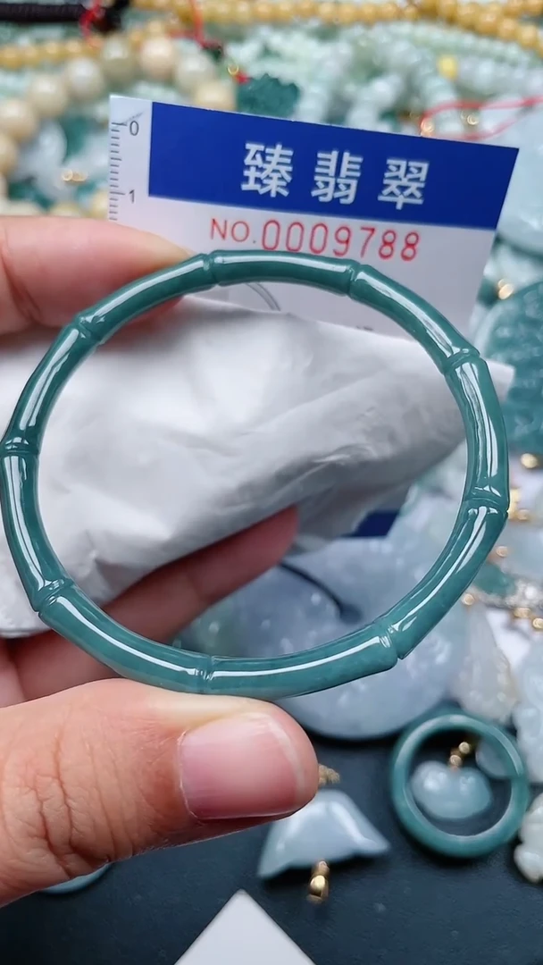 颈饰未镶嵌翡翠.0009788