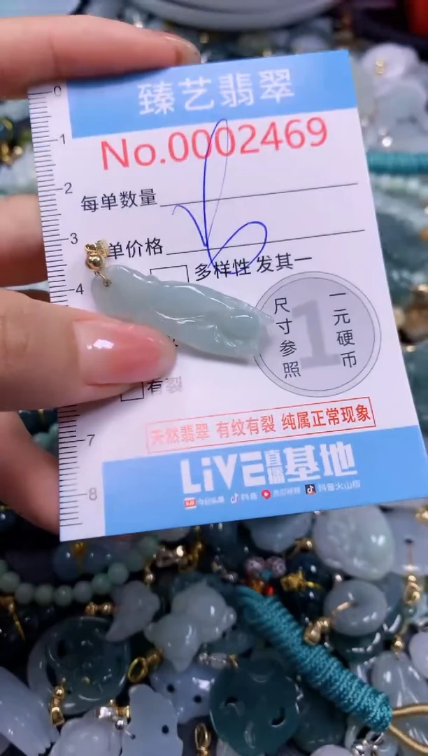 颈饰未镶嵌翡翠2469
