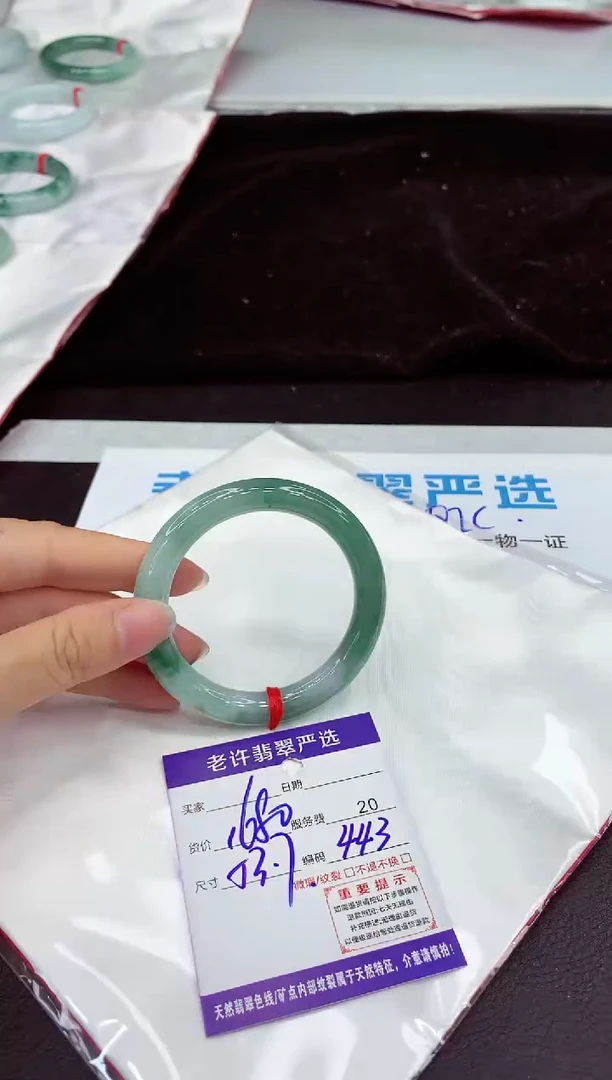 未镶嵌手镯翡翠11