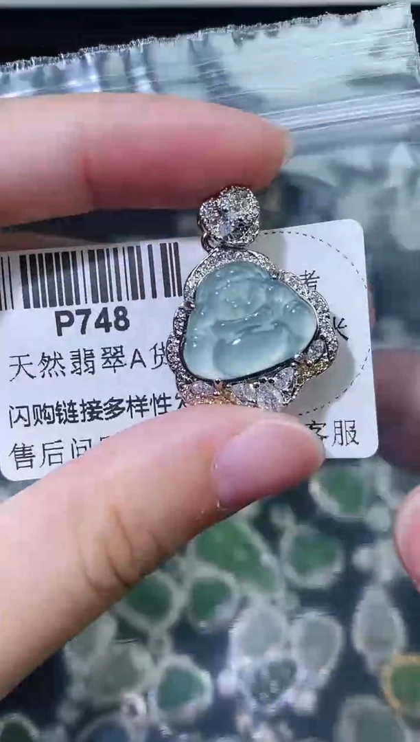 翡翠未镶嵌颈饰精美翡翠-多样性只发一件P748