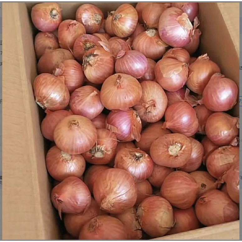 【超低价】正宗东北毛葱小毛葱香葱头红葱头农家笨毛葱1/3/5斤包邮