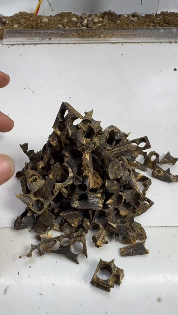 沉香碎屑沉香奇楠沉香碎料50克沉水