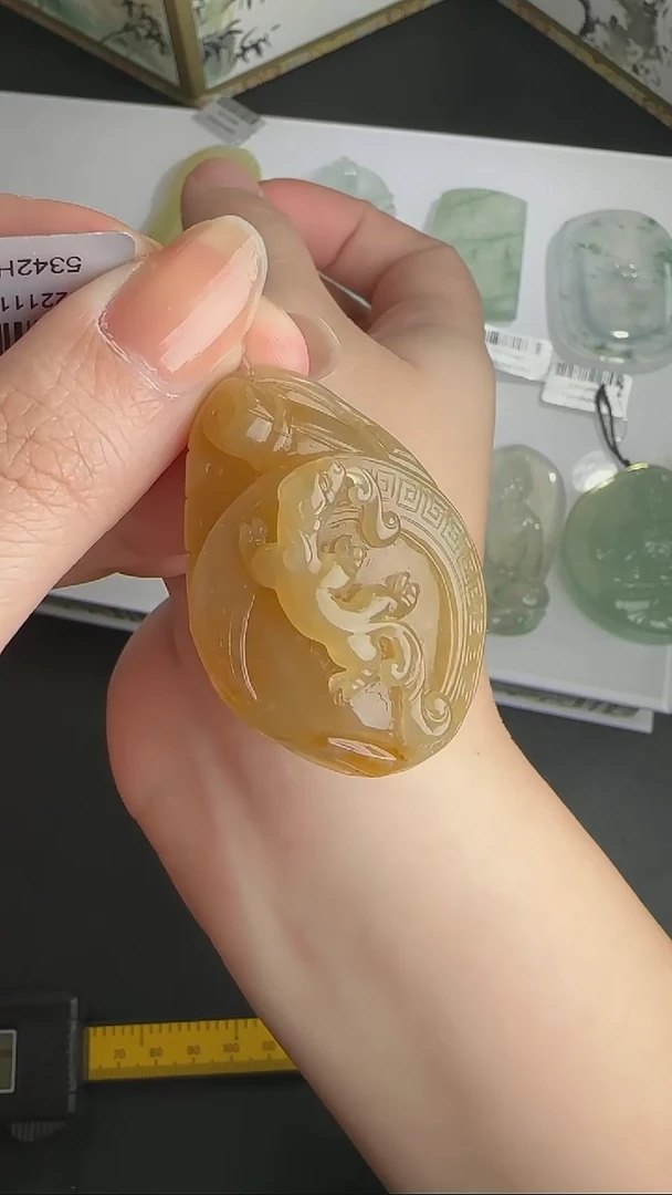 【闪购商品】翡翠颈饰未镶嵌WY0119082