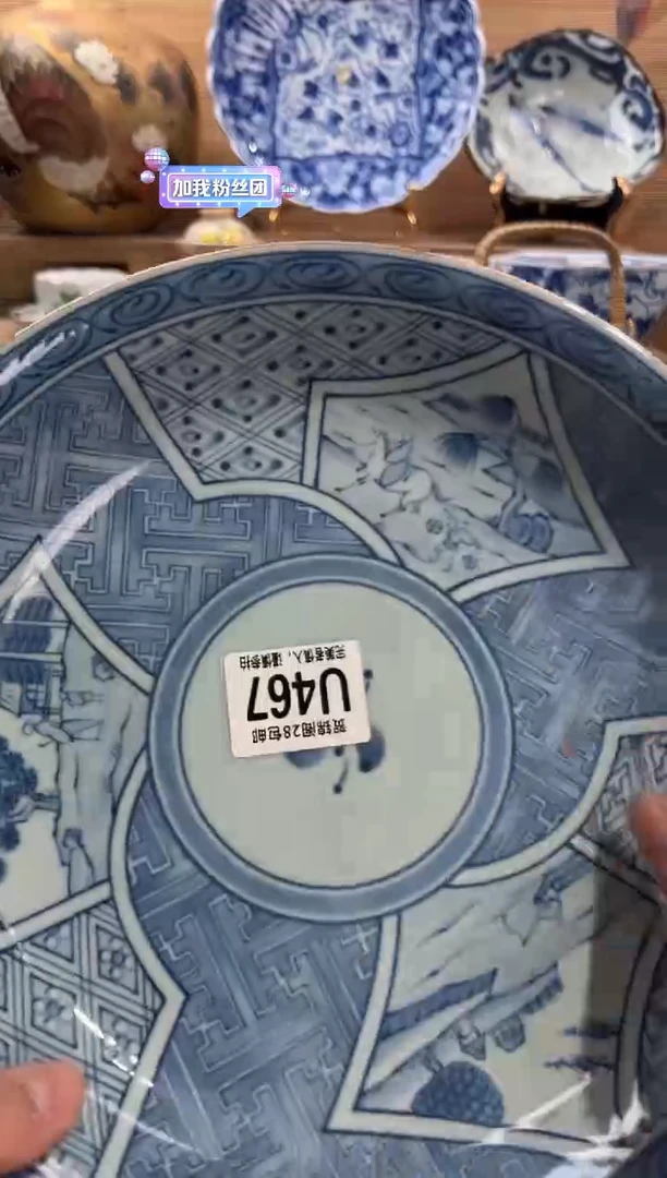 瓷片薛****蛇     U467