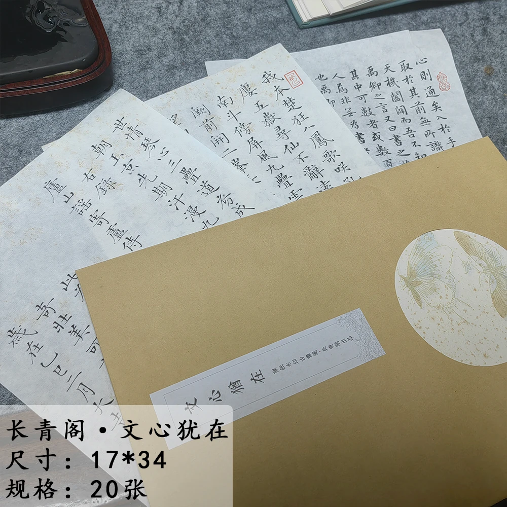 【长青阁】文心犹在 17*27 20张装 90年代手工底纸
