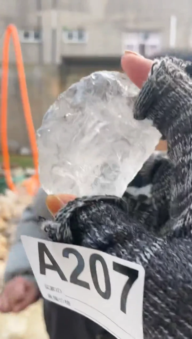 【闪购商品】水晶摆件未镶嵌白阿塞    207