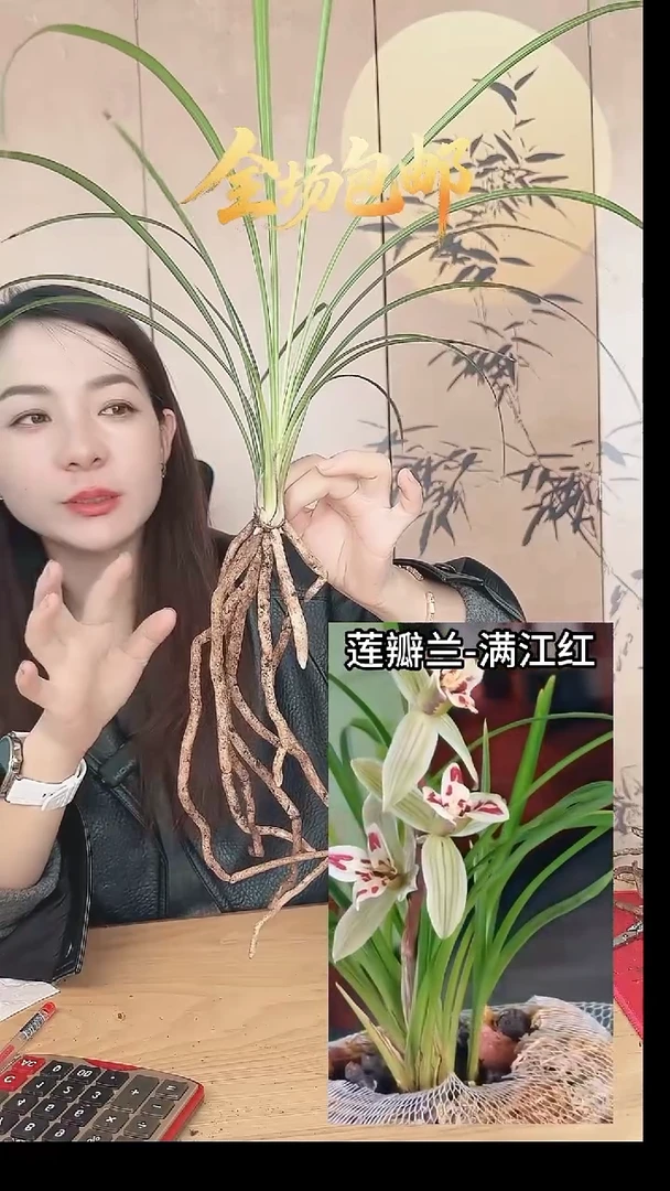 当前无花栽培后可以开花：满江红