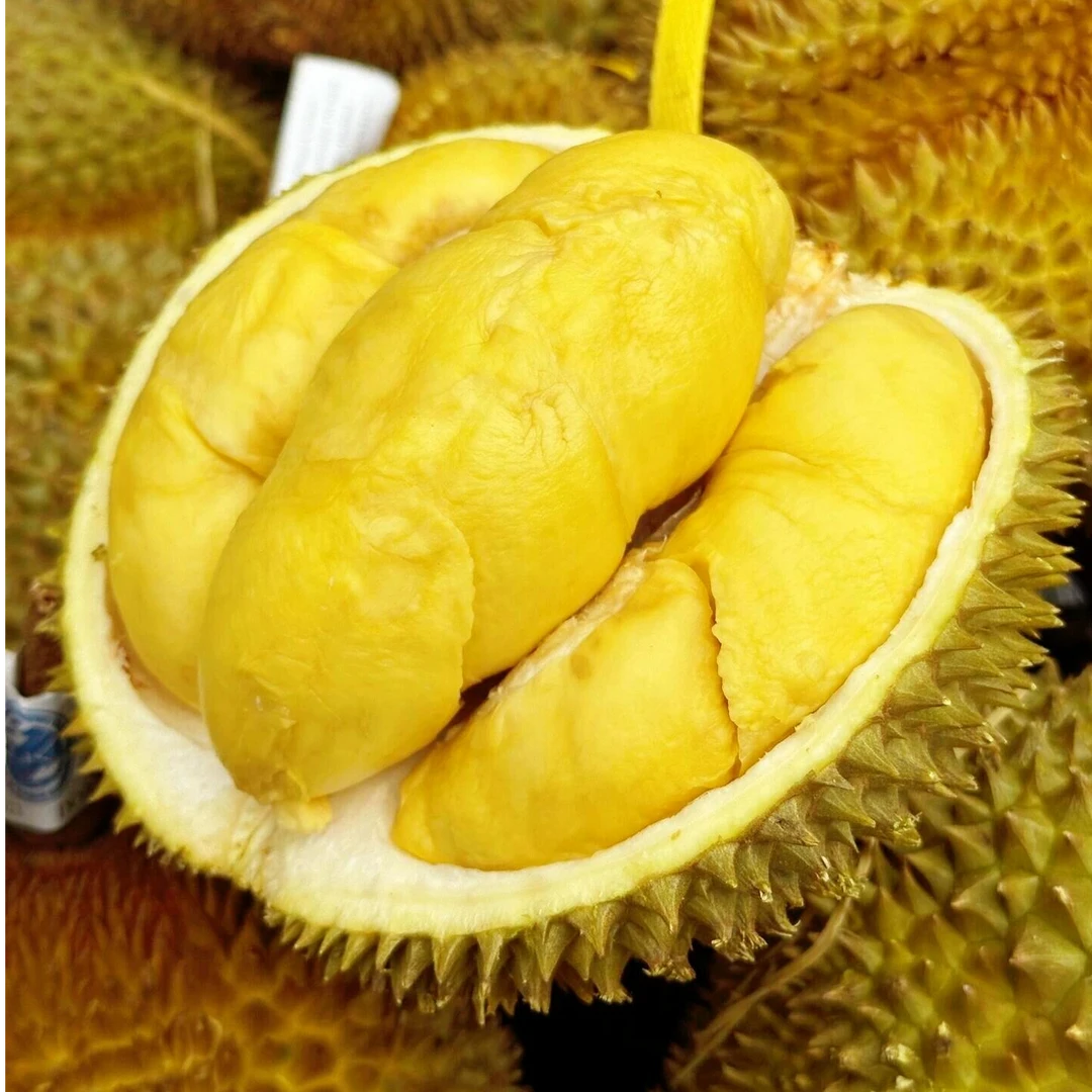 AA金枕2号【整果空运】一物一拍新鲜树熟金枕榴莲现开取肉，核小肉厚，软糯香甜4-10斤榴莲同城配金枕泰国南部