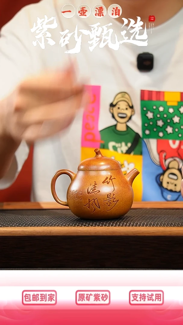 茶壶紫砂 一壶漂泊紫砂茶器