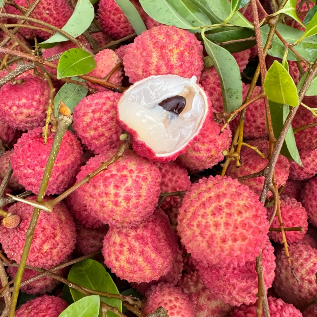 桂味荔枝，独有香味，果肉白净滑嫩，清甜润口，每份1斤左右山东省
