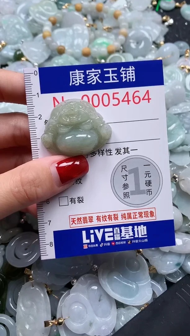 翡翠未镶嵌吊坠(不含链)5464