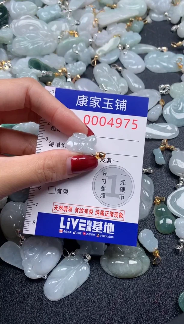 颈饰未镶嵌翡翠4975