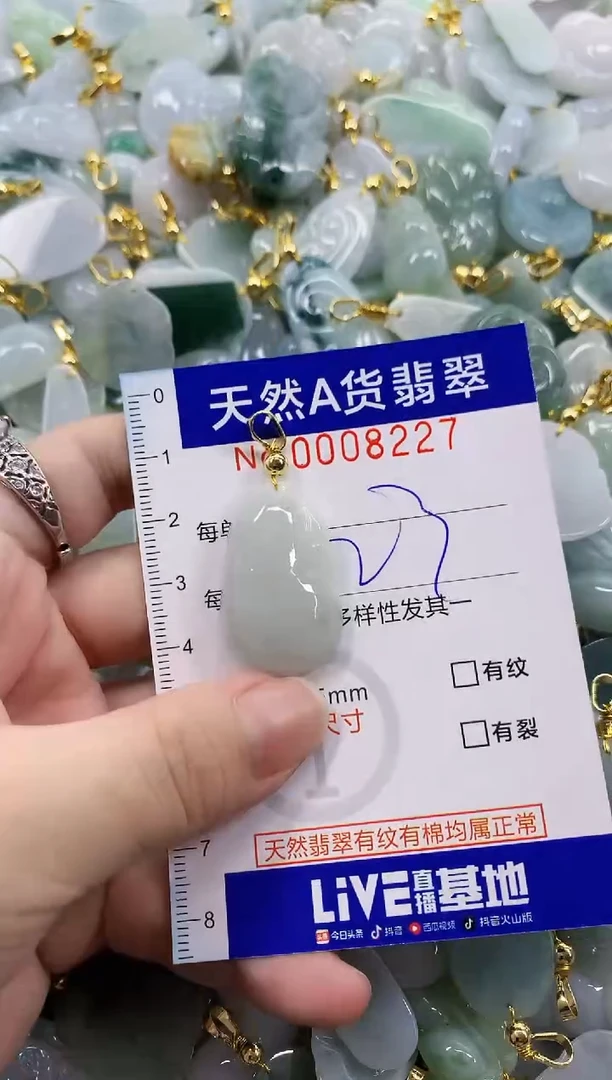 颈饰未镶嵌翡翠天然A货翡翠