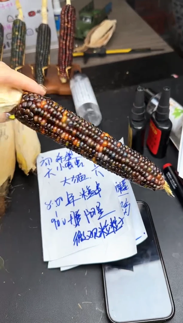 【闪购商品】和和哈哈哈哈哈哈哈哈哈哈