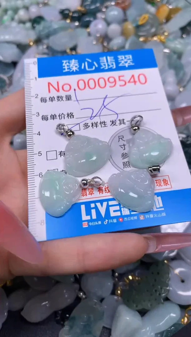 【闪购商品】翡翠颈饰未镶嵌含绳0009540