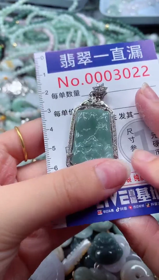 翡翠未镶嵌吊坠(不含链)3022