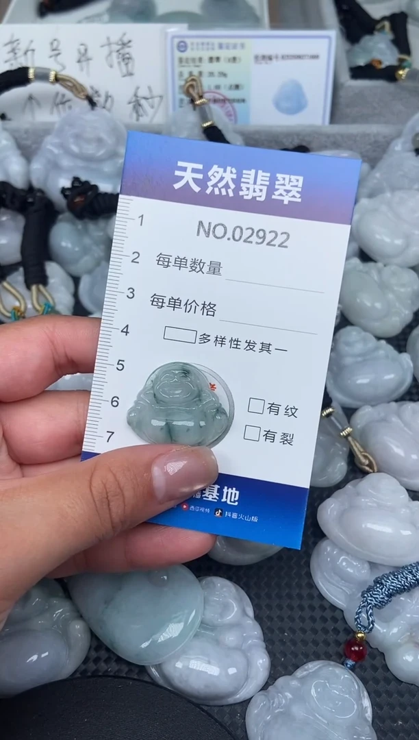 颈饰未镶嵌翡翠纯天然A货翡翠