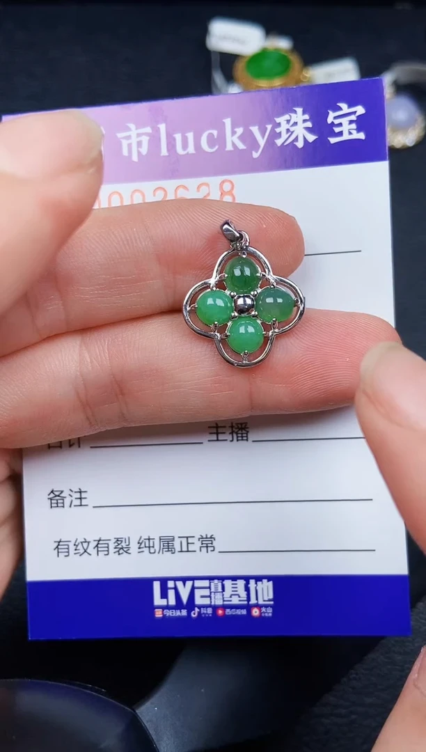 翡翠银S925镶嵌颈饰2628