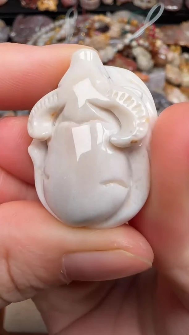 硅化珊瑚（珊瑚玉）未镶嵌颈饰713