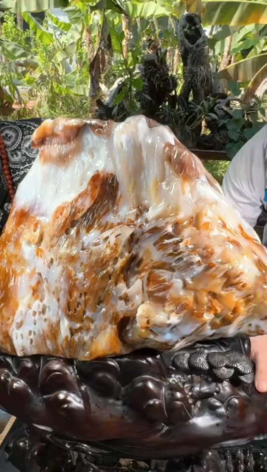 【闪购商品】硅化玉珠宝奇石未镶嵌拍一发一