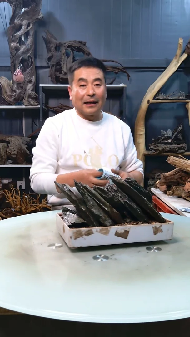 486清香阁清香阁清香阁