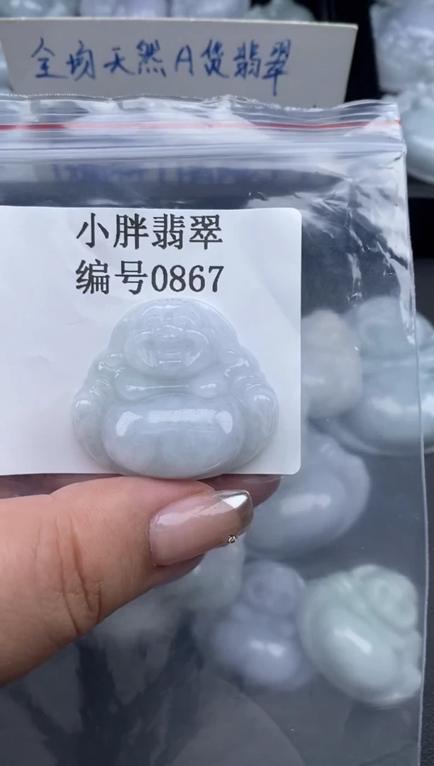 翡翠未镶嵌颈饰缅甸天然A货翡翠0867