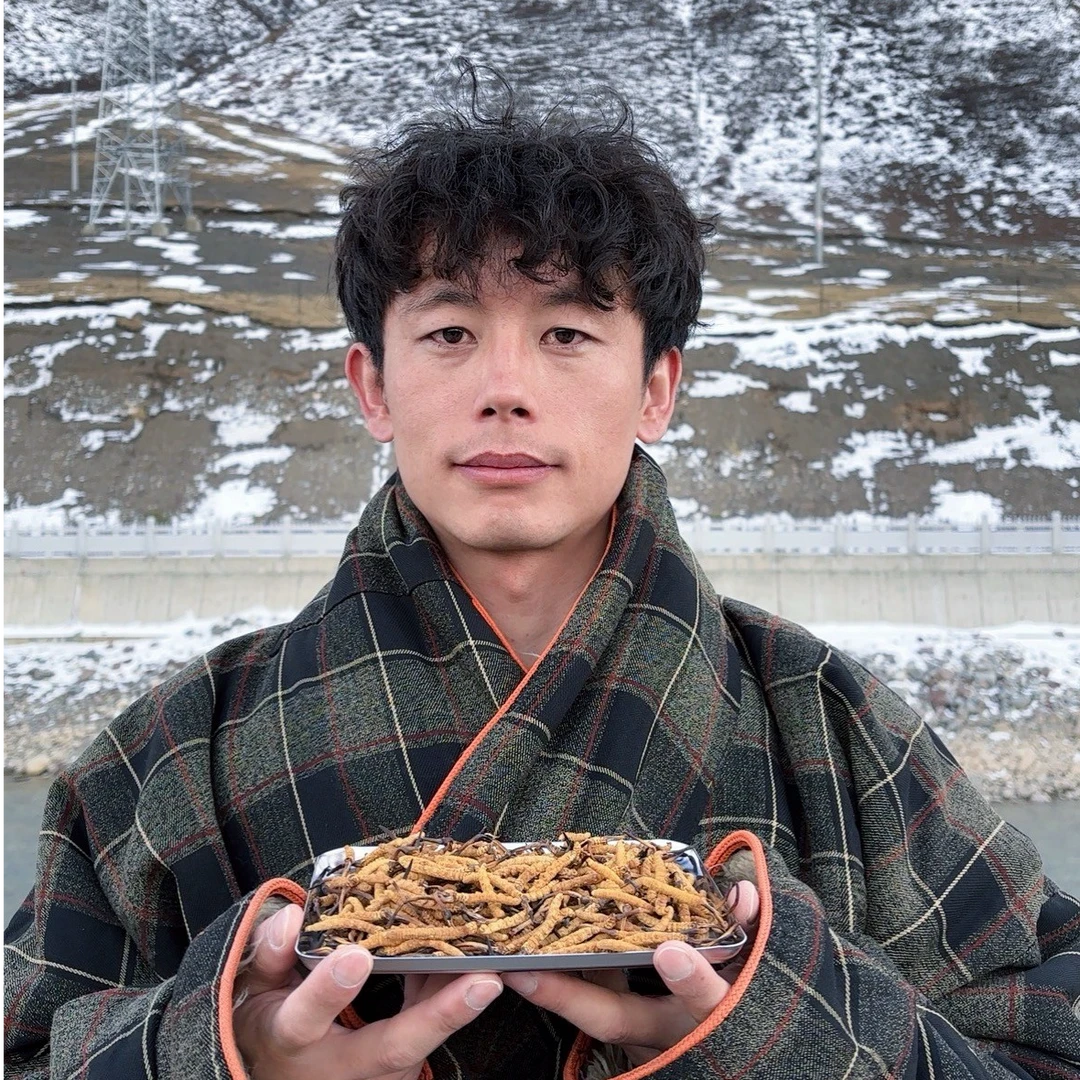 【1克5根左右】西藏那曲冬虫夏草 高海拔精选 自吃实惠