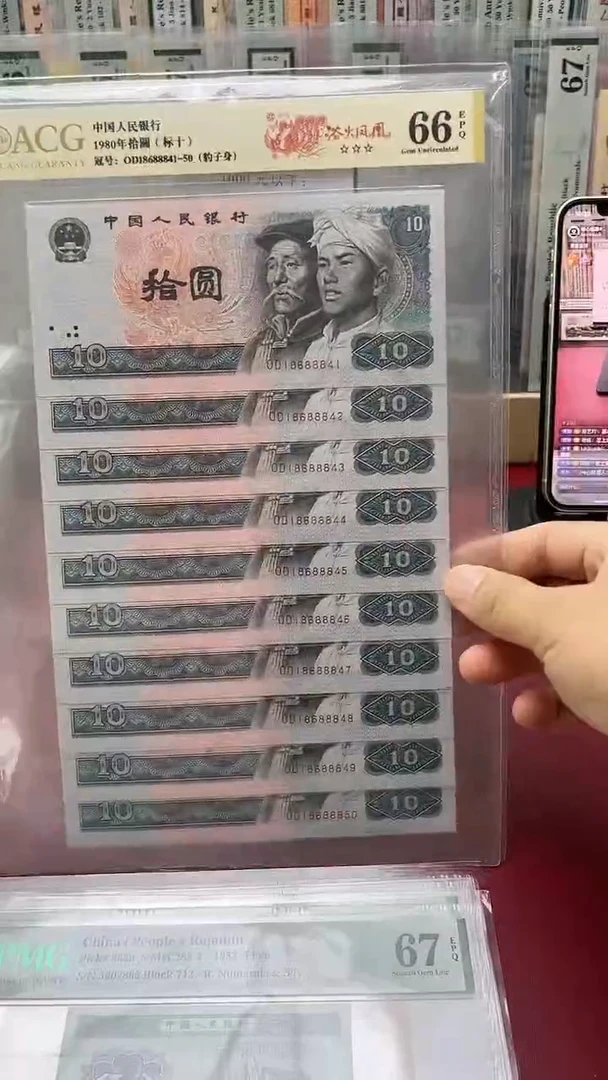 66分8010四版标十尾8841-50柏