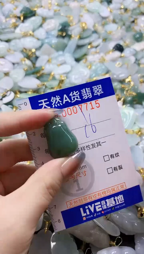 颈饰未镶嵌翡翠纯天然a货翡翠