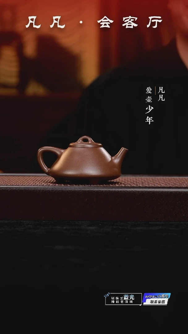 凡凡会客厅 潘俊昌紫砂壶22 小子冶石瓢紫泥220cc