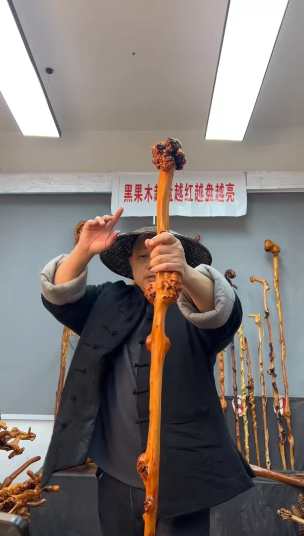 【闪购商品】黑果木其他黑果木941