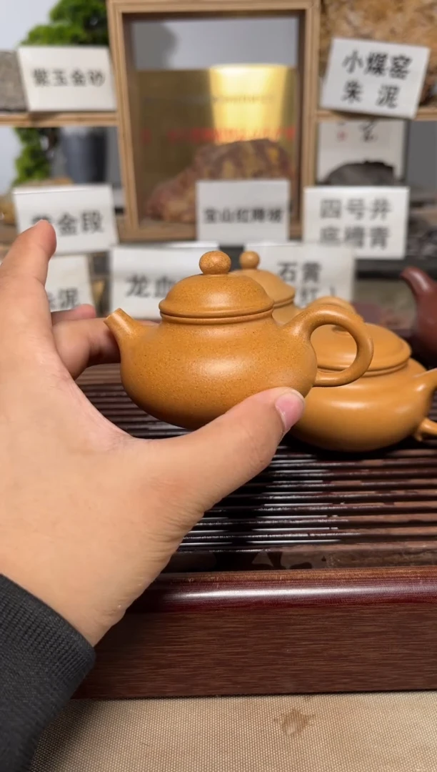 茶壶紫砂黄金段容天
