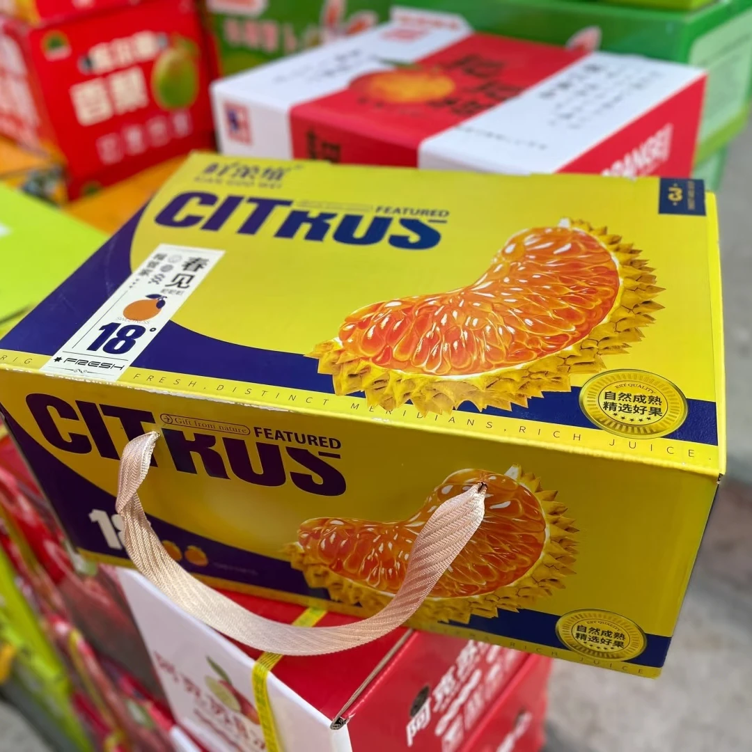 鲜菓维春见耙耙柑礼盒装一箱毛重约9斤