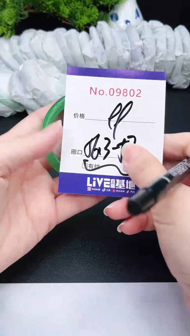 未镶嵌手镯翡翠9802