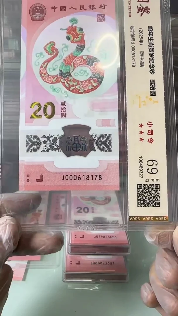 【闪购商品】塑料000618178-蛇钞单张！