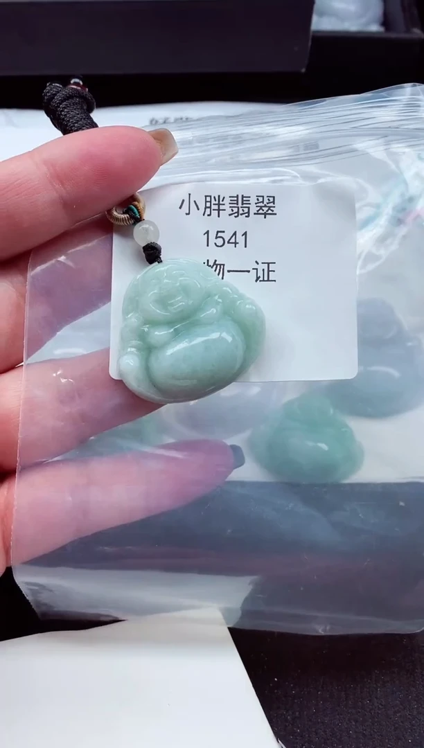 颈饰未镶嵌翡翠缅甸天然A货翡翠1541